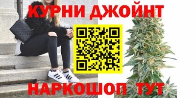 spice Краснознаменск