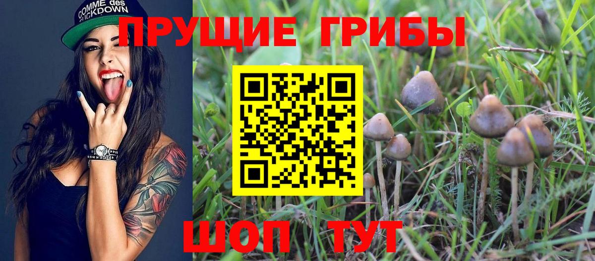 Галлюциногенные грибы GOLDEN TEACHER Изобильный